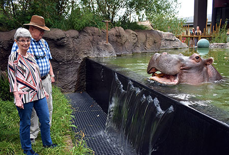 Planned Giving tour - Water's Edge: Africa hippo encounter